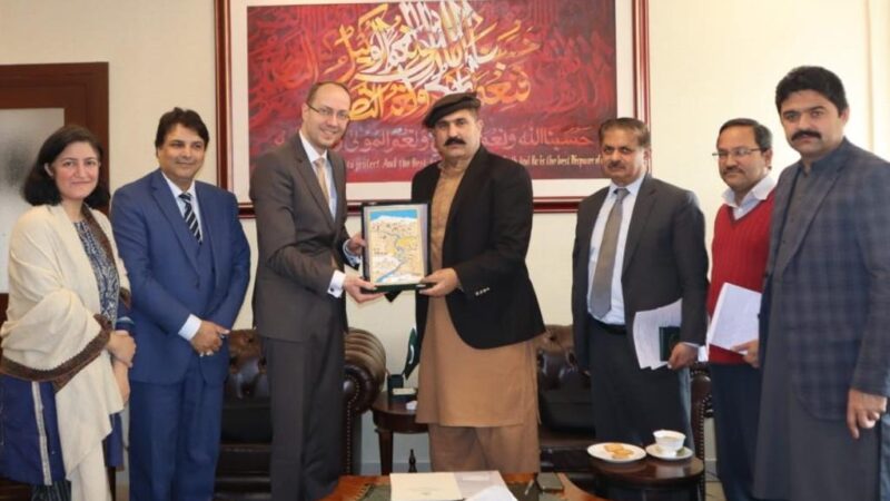 International Labor Organisation ( ILO) Country Director called on Minister Sajid Hussain Turi