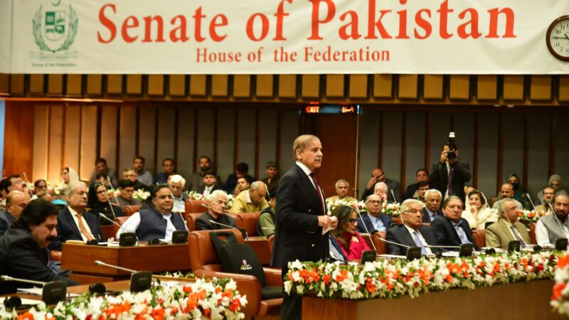 PM calls for national unity to tackle challenges, attain fiscal stability.