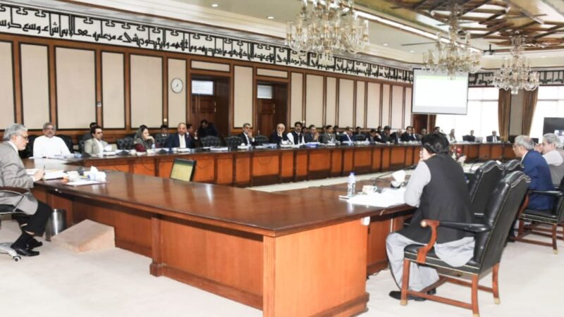 Federal Minister Senator Mohammad Ishaq Dar chaired the meeting of the ECC of the Cabinet.