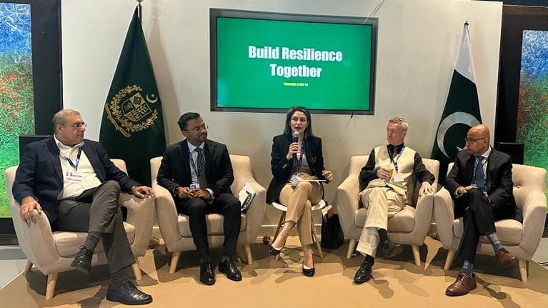COP28: Panelists focus on solutions to Pakistan’s environmental challenges.