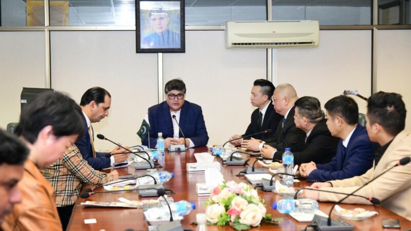 Delegation of Chinese Companies and Investors called on the Caretaker Federal Minister for Privatisation.