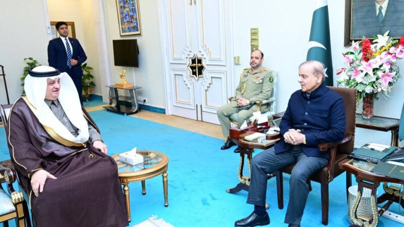 SAUDI AMBASSADOR CALLS ON THE PRIME MINISTER OF PAKISTAN.