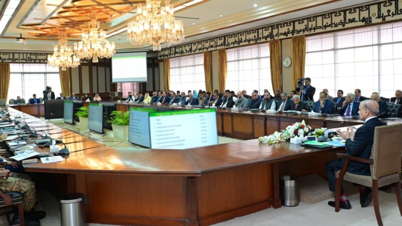 PM Shebaz Chaired Special Apex Committee.
