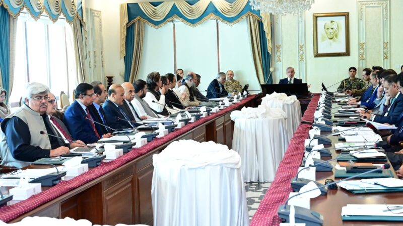 PM Shehbaz Sharif chairs a meeting on measures against the spectrum of illegal activities.