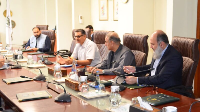 Federal Ministers Chair Committee to Promote Pakistani Businesses Abroad.