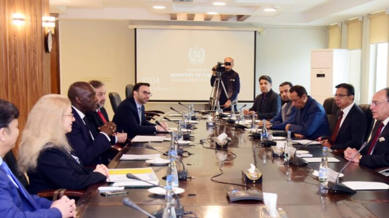 Finance Minister Meets IFC Managing Director.