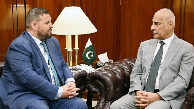 Romanian Ambassador Calls on  NA Speaker Sardar Ayaz Sadiq.