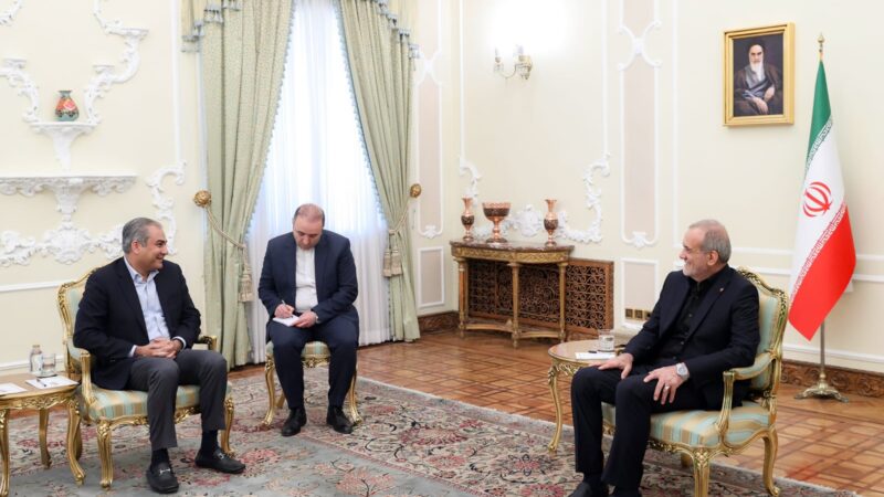 ‎Interior Minister Mohsin Naqvi Meets Iranian President, Vows Deeper Bilateral Cooperation