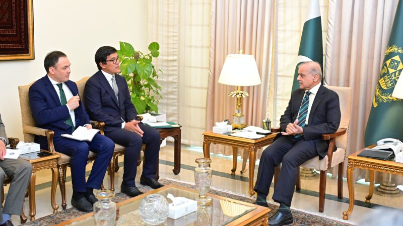 PM Shehbaz Sharif Lauds Progress in Pakistan-Kyrgyzstan Cooperation