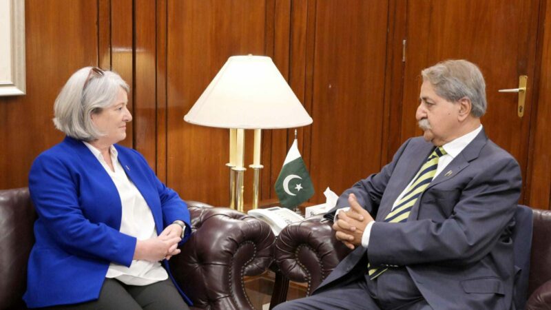 Ambassador of Ireland Calls on Chairman SC on Finance & Revenue, Syed Naveed Qamar