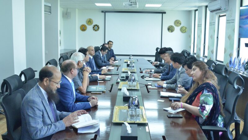 Pakistan welcomes Japan Bank’s interest in Reqo Diq project, says Federal Minister Ali Pervaiz Malik