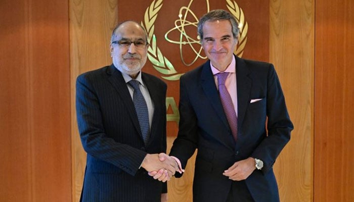 IAEA acknowledges Pakistan’s significant strides in peaceful nuclear programme