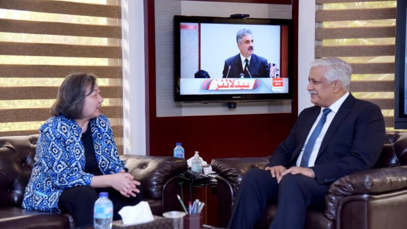 Chairman WAPDA, World Bank’s Country Director  discuss  financial matters of Dasu, Tarbela 5th Extension HPP