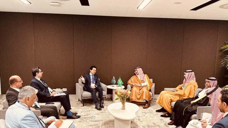 Pakistan’s Mineral Sector at the Spotlight: Ali Pervaiz Malik and International leaders discuss cooperation in Sydney.