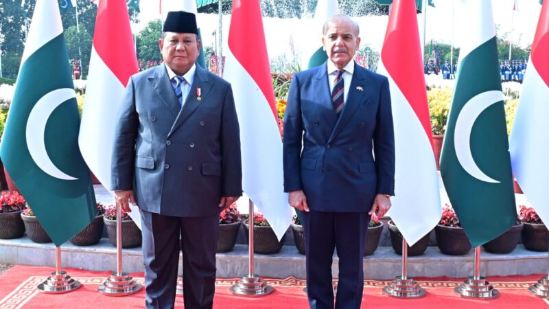 Pakistan, Indonesia Agree to Boost Cooperation in Trade, Health, Education and Technology