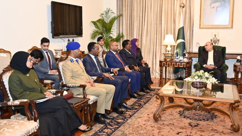 Pakistan and Somalia Move to Ease Diplomatic Travel, Pledge Deeper Cooperation