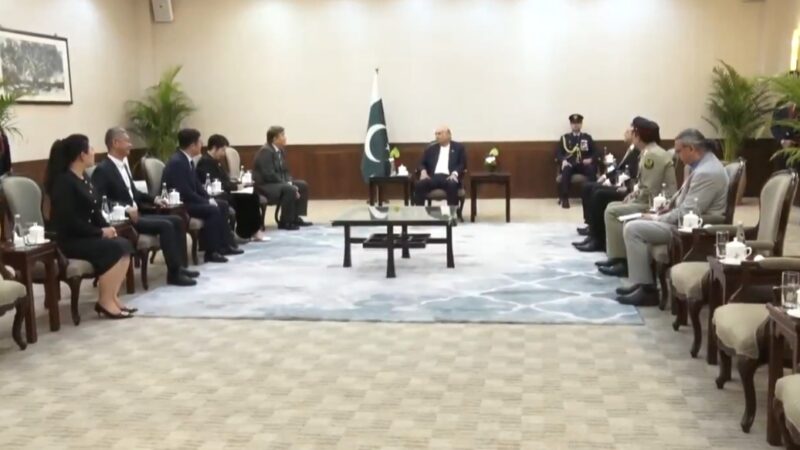 President invites greater Chinese investment in priority sectors including alternate energy, water treatment and EV battery systems