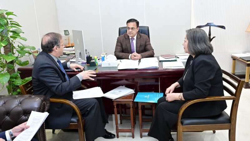 Federal Government coordinating closely with provinces to implement CPF, Ahad Cheema tells World Bank