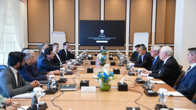 Ali Pervaiz Malik Meets Barrick Chairman John L. Thornton; Both Sides Agree to Maintain Close Coordination on Reko Diq Project