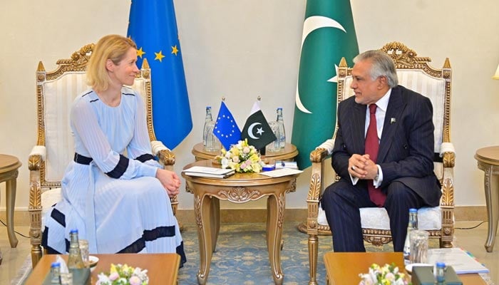 Pakistan Played Key Role in Averting Full-Scale US-Iran War, Says EU Diplomat