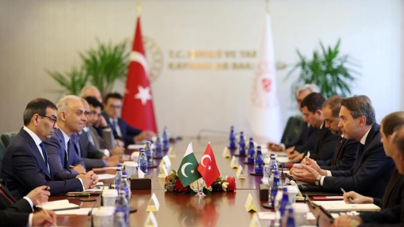 Adviser to the Prime Minister on Privatisation Meets Minister for Energy and Natural Resources of Türkiye