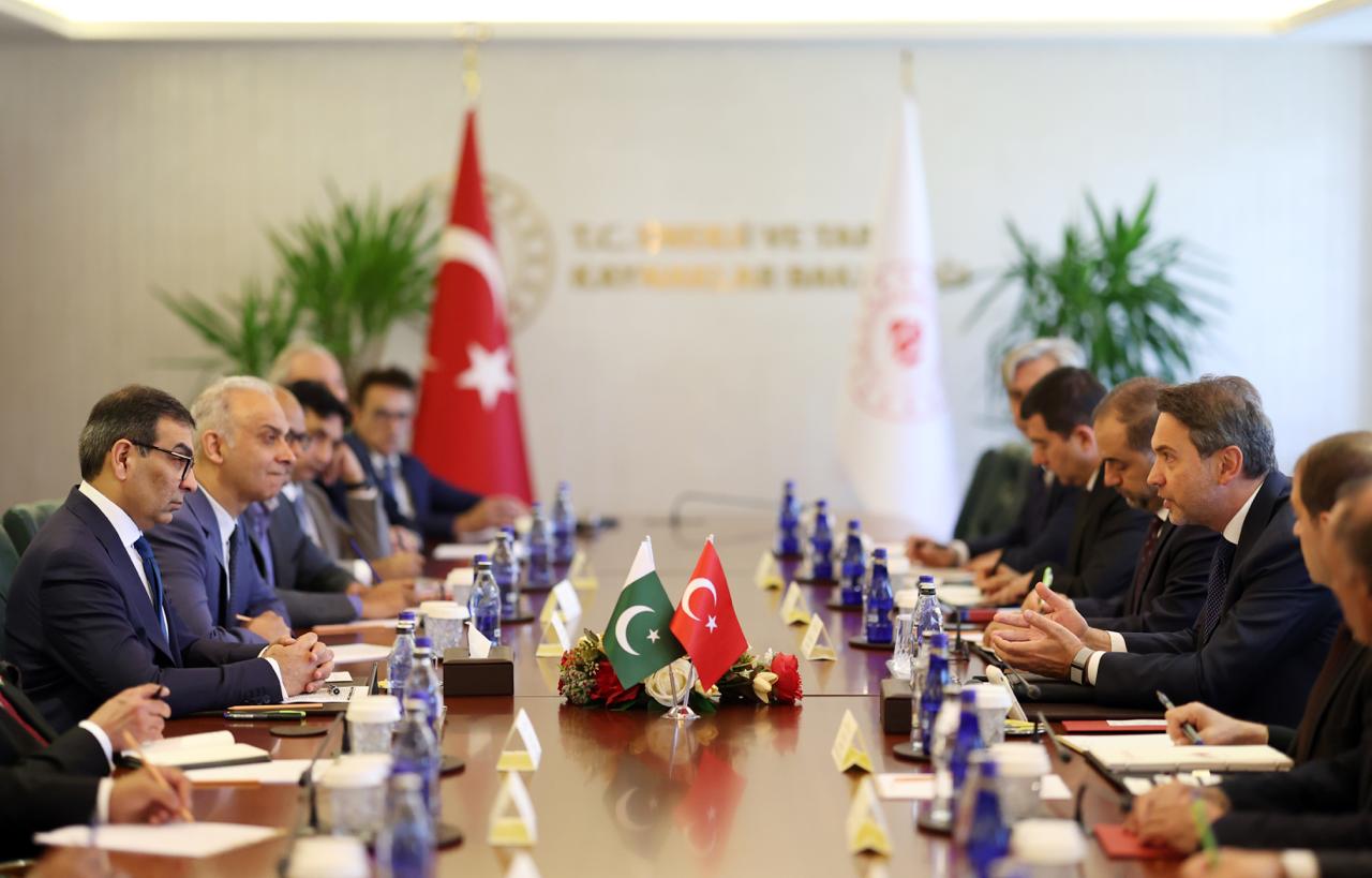 Adviser to the Prime Minister on Privatisation Meets Minister for Energy and Natural Resources of Türkiye
