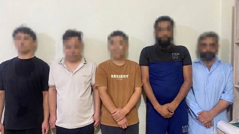 Illegal Human Placenta Processing Network Busted in Islamabad; Five Arrested