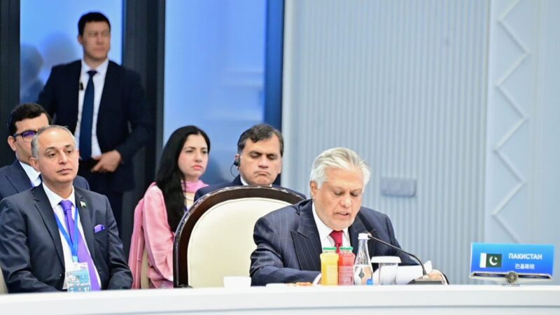 DPM/FM Dar Vows Stronger Cooperation Among SCO Member States