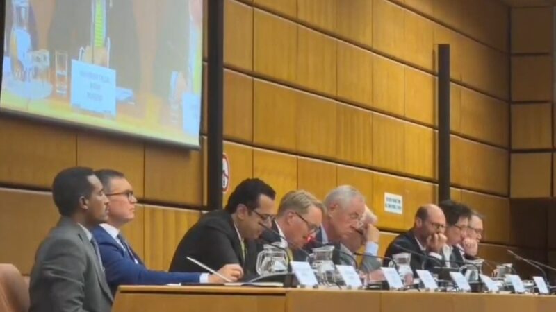 Pakistan’s Anti-Illegal Migration Measures Praised at Global Summit in Vienna