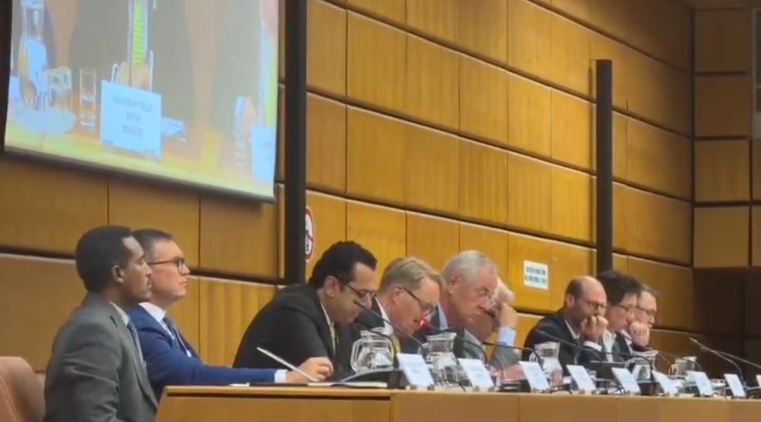 Pakistan’s Anti-Illegal Migration Measures Praised at Global Summit in Vienna