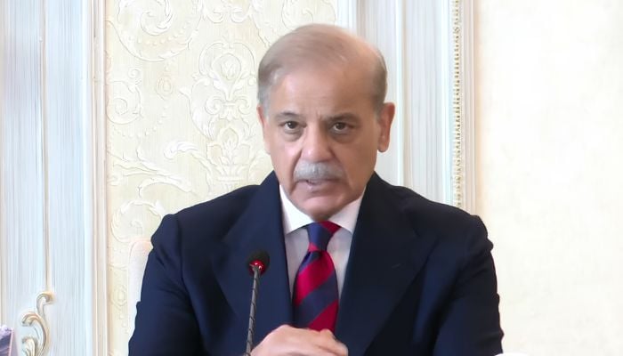 PM Shehbaz: Trilateral Defence Pact Is Not Directed at Any Country