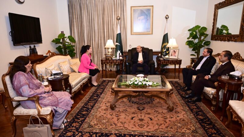 President Zardari for Further Strengthening Pakistan-China Economic and Trade Cooperation
