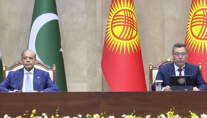 PM Shehbaz Pledges to Raise Pakistan-Kyrgyzstan Bilateral Trade to $200 Million