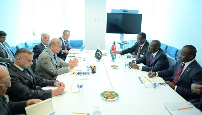 PM Shehbaz, DPM Dar Hold Talks with World Leaders on UNGA Sidelines