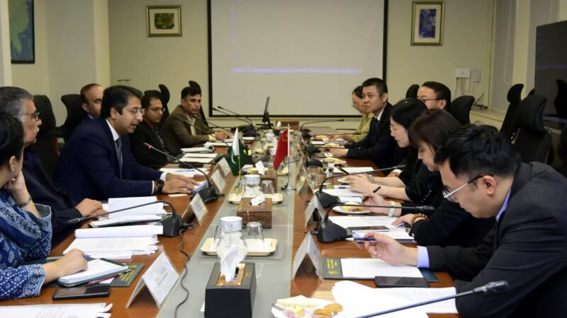 Pakistan, China Eye Deeper Development Cooperation as PM’s Coordinator Meets CICETE Delegation