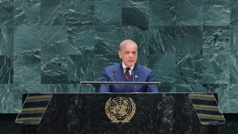 At UNGA, PM Shehbaz says Pakistan opted for peace over war; Kashmir, Palestine resolutions vital for global peace
