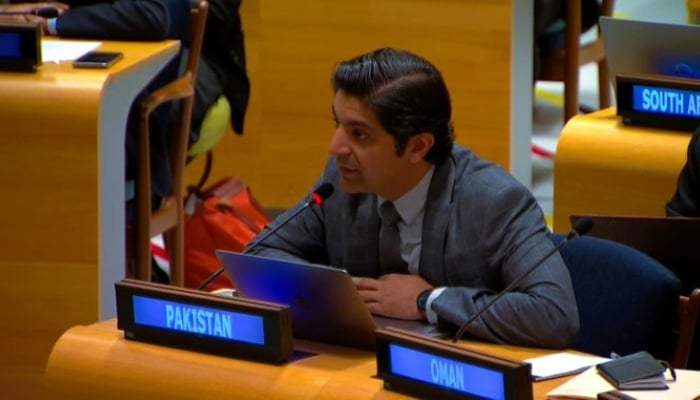 Pakistan Accuses India of Supporting Taliban for Terror Attacks Against Pakistan at UN