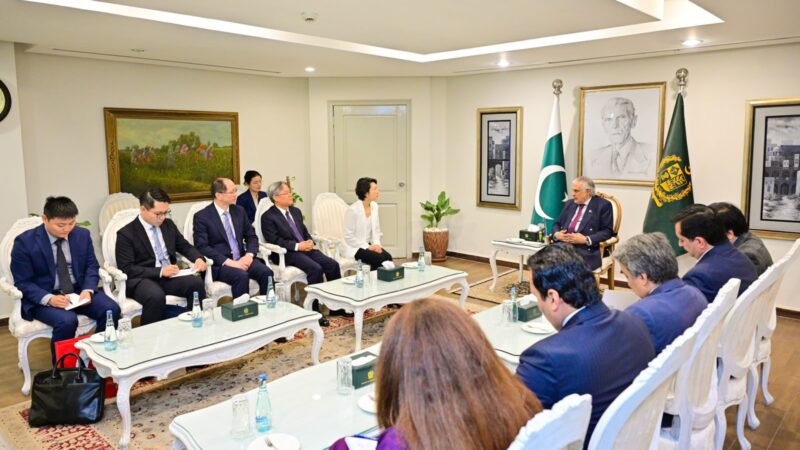Ishaq Dar, Mao Ning Discuss Pakistan-China Relations in Islamabad